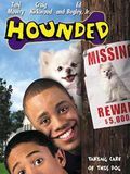 poster de Un chien envahissant