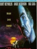 poster de The Maddening