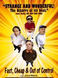 poster de Fast, Cheap & Out of Control