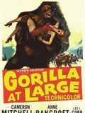 poster de Gorilla at Large