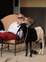 poster de N'attends rien. N'espère rien. Donne tout