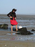 poster de La belle journée