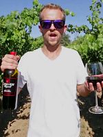 poster de Dream Music Part II