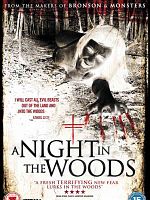 poster de A Night in the Woods