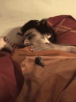 poster de Nuisible(s)