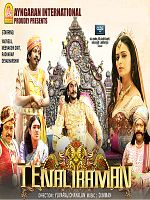 poster de Thenaliraman
