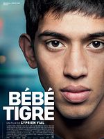 poster de Bébé Tigre