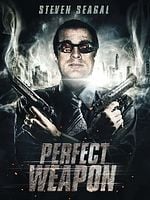 poster de The Perfect Weapon
