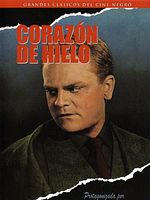 poster de Un Fauve en liberté