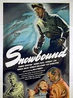 poster de Snowbound