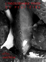 poster de L'Insoutenable poids du peut-être