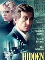 poster de Hidden city