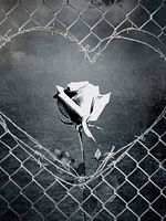 poster de Il Trovatore (Royal Opera House)