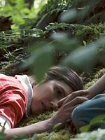 poster de Le chemin rêvé