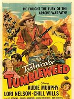 poster de Qui est le traître?