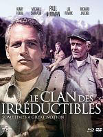 poster de Le Clan des irréductibles