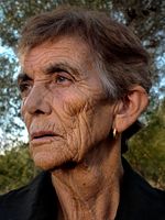 poster de Pics et Friches