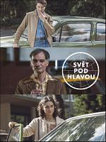 image de Shadow of the Ferns