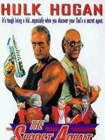 poster de Agent Double