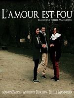 poster de L'Amour est fou