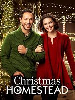 poster de Noël avec une star