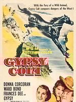 poster de Le Poulain noir