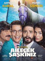 poster de Ailecek Şaşkınız