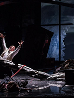 poster de Die Walküre (Royal Opera House)