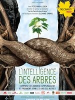 L'Intelligence des Arbres