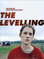 poster de The Levelling