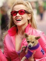 poster de Legally Blonde 3