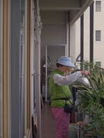 poster de Ecology in Concrete