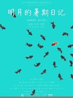 poster de Summer Secret