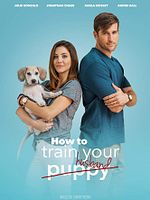 poster de How To Train Your Husband