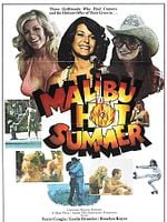 poster de Malibu Hot Summer