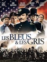 image de Les Bleus et les Gris