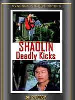 poster de Shaolin contre les 8 serpents