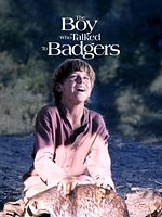 poster de The Boy Who Talked to Badgers
