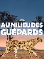 poster de Au milieu des guépards