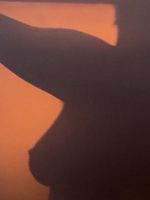 poster de Erēmīta (Anthologies)