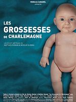 poster de Les Grossesses de Charlemagne