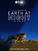 image de Terre : les couleurs nocturnes