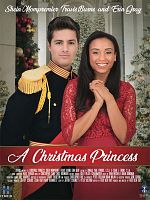 poster de La Princesse de Noël