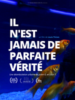 poster de Il n'est jamais de parfaite vérité