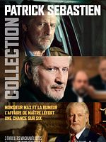 poster de L'Affaire de Maître Lefort