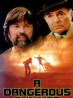 poster de A Dangerous Summer