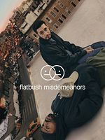 image de Flatbush Misdemeanors