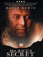 poster de Mr. Rice's Secret
