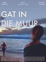 poster de Hole in the Wall