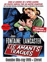 poster de Les Amants Traqués